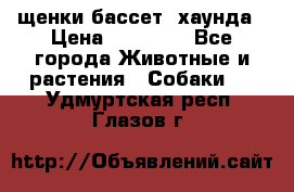 щенки бассет- хаунда › Цена ­ 20 000 - Все города Животные и растения » Собаки   . Удмуртская респ.,Глазов г.